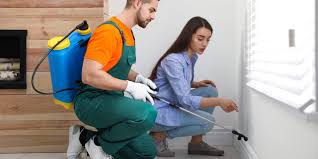 Best Termite Inspection and Treatment  in Leisure Village, NJ